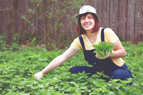 Samoniklo bilje i jestivo cvijeće