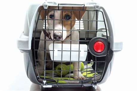 Na godišnji sa psom