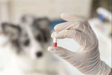 Novi lijekovi za rak – profit ispred inovacija