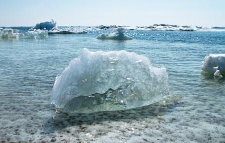 Poljubite Franju u usta i spasite planetu