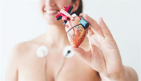 Prevencija u kardiologiji: Osnovni pojmovi kod kardiovaskularnih bolesti