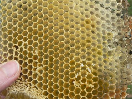 Vrlo jednostavna mast protiv upale hemeroida