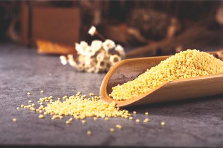 Mala kulinarska tajna za fantastični prosom s divljim biljem!