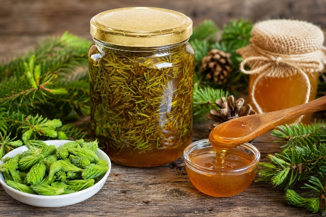Sirup od jelinih, smrekinih i borovih iglica s medom