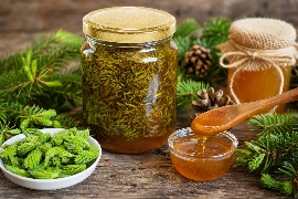 Sirup od jelinih, smrekinih i borovih iglica s medom
