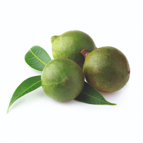 Uši kod djece - prirodni načini tretiranja