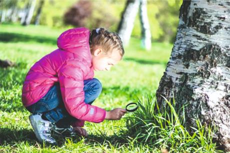 Identifikacija bilja