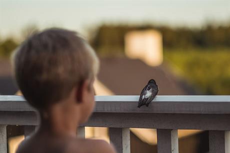Zašto čovjek obolijeva više od životinja?
