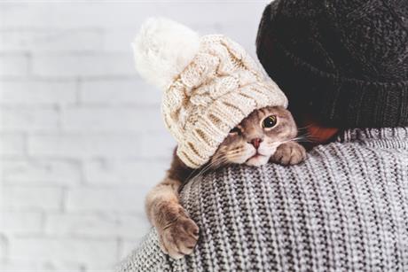 Zašto steriliziramo mace?