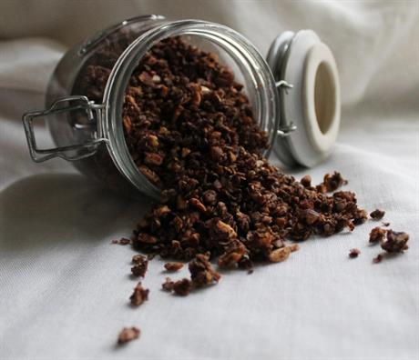 Čokoladna granola
