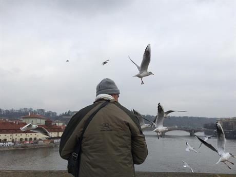 Imam li pravo na nužni dio nakon smrti ujaka?