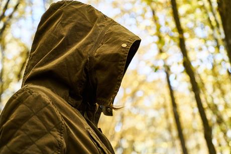 Virusi i zimski pesimizam