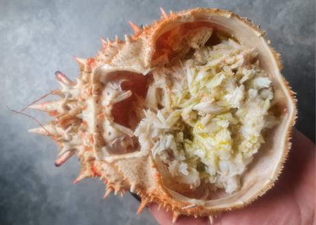 Rakovica na dva načina