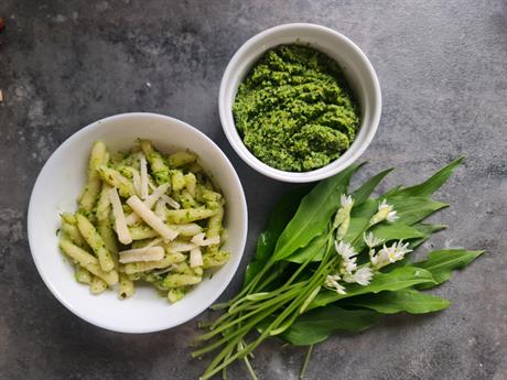 Pesto od medvjeđeg luka i lješnjaka 
