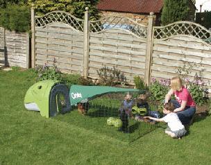 Organska jaja od koka iz vlastitog vrta