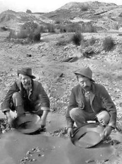 Nova zlatna groznica