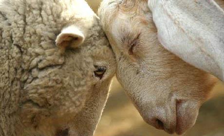 Ljudi su si sami izabrali…