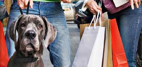 Svakodnevne obveze na prodaju