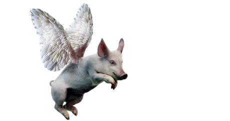 Kada  će  prasci  poletjeti?