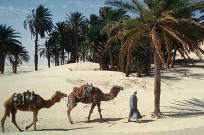 Tunis hit sezone – kvalitetom i cijenom