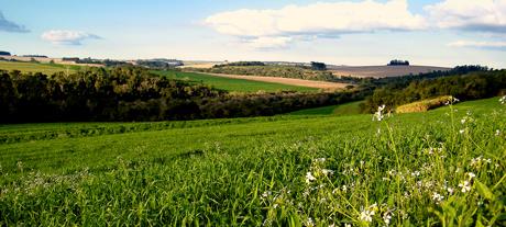 Može li državljanin Slovenije darovati parcelu u Hrvatskoj?