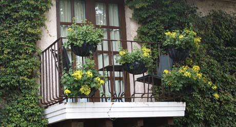 Dobrosusjedski odnosi na Internetu