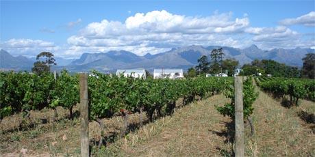 Kako podijeliti naslijeđenu imovinu?