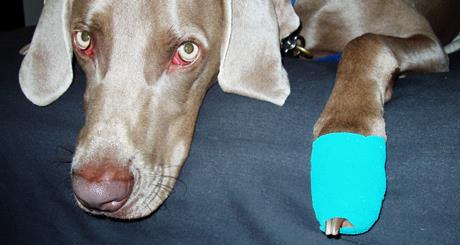 Liječenje bolesti noktiju