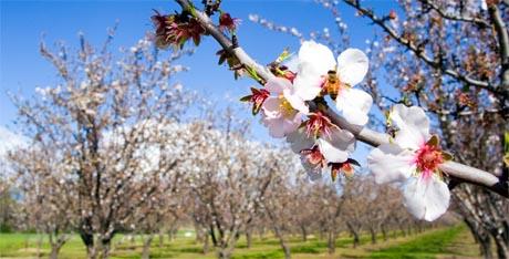 Može li sin Slovenac naslijediti nekretnine oca Hrvata?