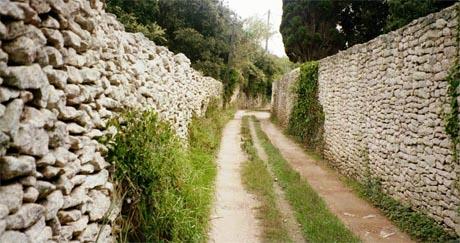 Smije li susjed sagraditi zid?