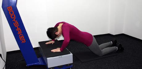 Pretilost i vibracije