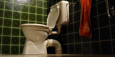 Crijeva - ogledalo zdravlja