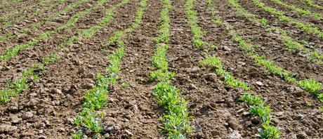 Oranica nije u katastru