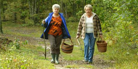 Priroda kao besplatan supermarket