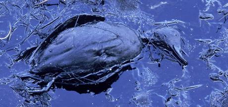 Začepite tu prokletu rupu