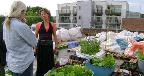 Vrt na krovu supermarketa