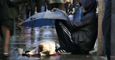 Rezanje troškova za kućne ljubimce
