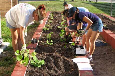 Specijalizirana trgovina za urbano vrtlarstvo