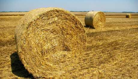 Korisnik invalidske mirovine kao upravitelj zadruge