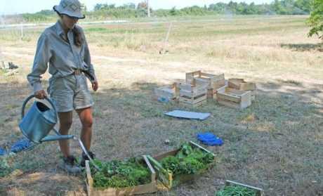 Osteoartritis i fizička aktivnost