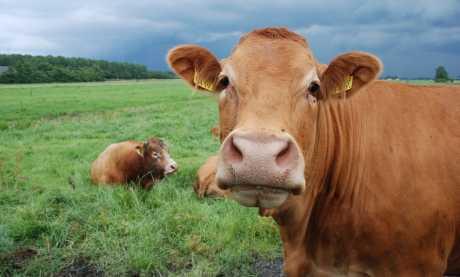 Šumeće tablete i bijele usne