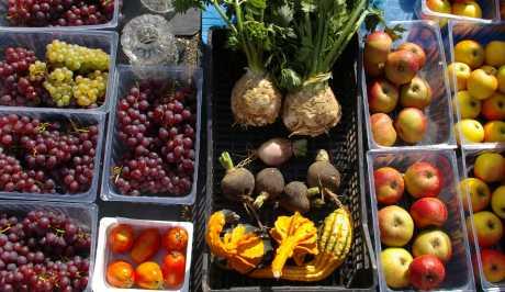 Otvaranje trgovine za prodaju povrća