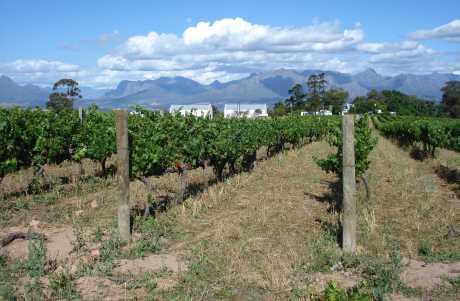 Oporezivanje darovanja poljoprivrednog zemljišta