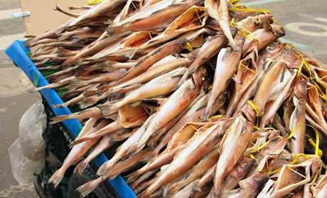 Povremena prodaja jela i pića na sajmovima