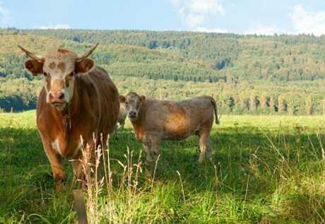 Mogu li državni poticaji biti predmet ovrhe?
