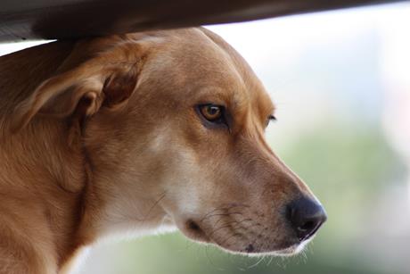 Komplikacije nakon sterilizacije