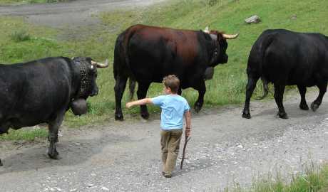 Smiju li članovi obitelji pomagati u poljoprivredi?
