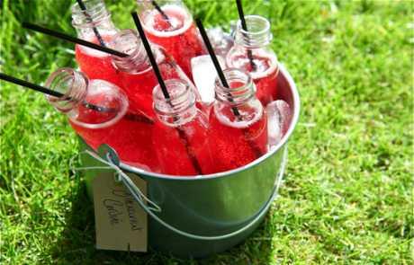 Napravite sami sirupe za razrjeđivanje od voća, metvice, koprive...