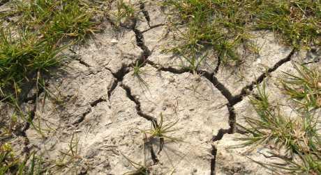 U osiguranju od suše nastupila suša ideja