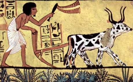 A koliko mi država uzme od plaće?